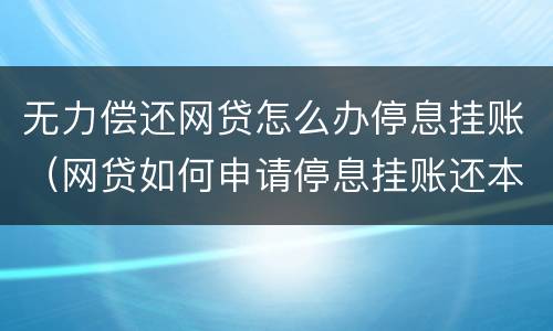 无力偿还网贷怎么办停息挂账（网贷如何申请停息挂账还本金）