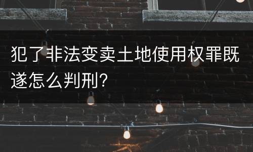 犯了非法变卖土地使用权罪既遂怎么判刑?