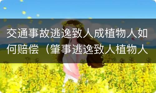 交通事故逃逸致人成植物人如何赔偿（肇事逃逸致人植物人怎么处罚）