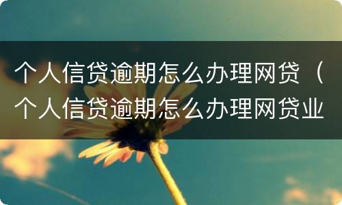 个人信贷逾期怎么办理网贷（个人信贷逾期怎么办理网贷业务）