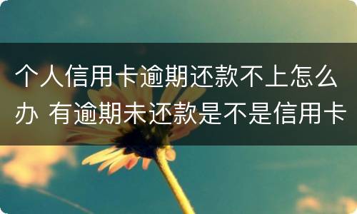 个人信用卡逾期还款不上怎么办 有逾期未还款是不是信用卡办不了