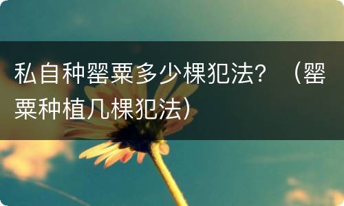 私自种罂粟多少棵犯法？（罂粟种植几棵犯法）