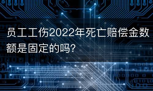 员工工伤2022年死亡赔偿金数额是固定的吗？
