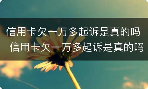 信用卡欠一万多起诉是真的吗 信用卡欠一万多起诉是真的吗还是假的