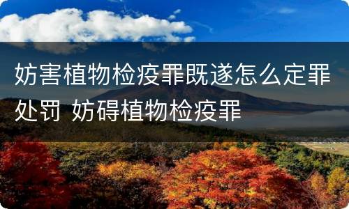 妨害植物检疫罪既遂怎么定罪处罚 妨碍植物检疫罪