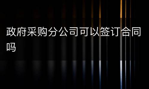 政府采购分公司可以签订合同吗