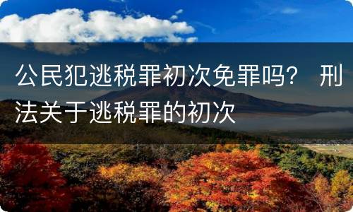 公民犯逃税罪初次免罪吗？ 刑法关于逃税罪的初次