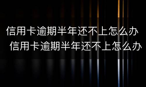信用卡逾期半年还不上怎么办 信用卡逾期半年还不上怎么办呢