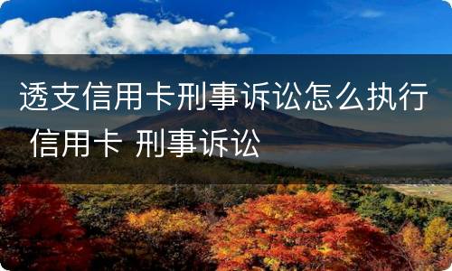 透支信用卡刑事诉讼怎么执行 信用卡 刑事诉讼