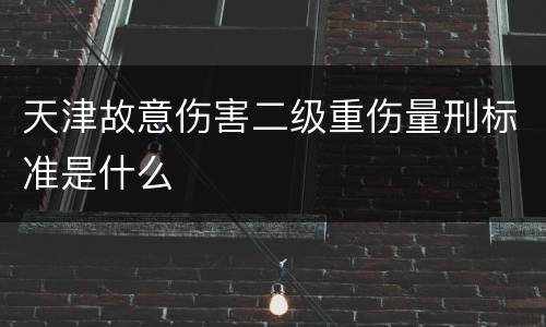 天津故意伤害二级重伤量刑标准是什么