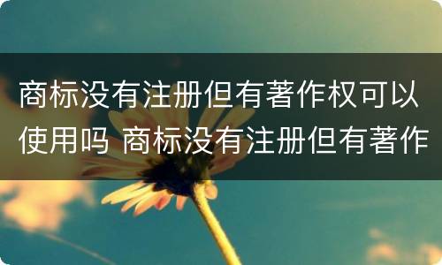 商标没有注册但有著作权可以使用吗 商标没有注册但有著作权可以使用吗为什么