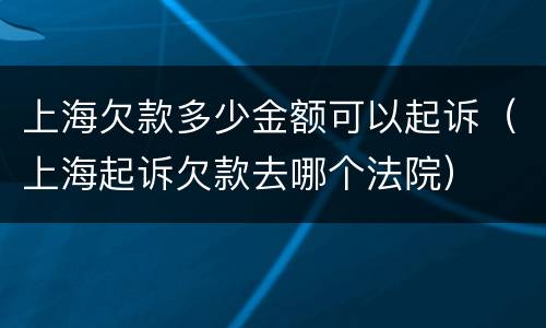 上海欠款多少金额可以起诉（上海起诉欠款去哪个法院）