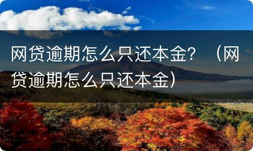 网贷逾期怎么只还本金？（网贷逾期怎么只还本金）
