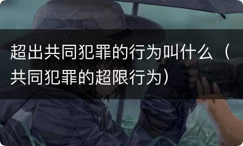 超出共同犯罪的行为叫什么（共同犯罪的超限行为）