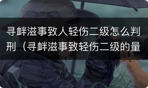 寻衅滋事致人轻伤二级怎么判刑（寻衅滋事致轻伤二级的量刑标准）