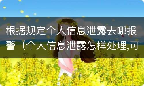 根据规定个人信息泄露去哪报警（个人信息泄露怎样处理,可以报警吗?）