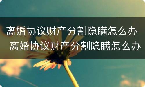离婚协议财产分割隐瞒怎么办 离婚协议财产分割隐瞒怎么办理