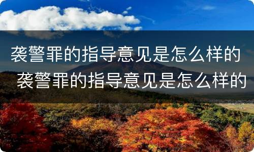 袭警罪的指导意见是怎么样的 袭警罪的指导意见是怎么样的