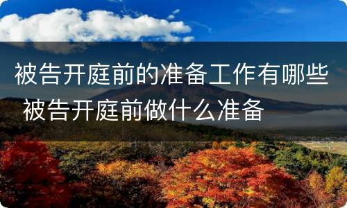 被告开庭前的准备工作有哪些 被告开庭前做什么准备