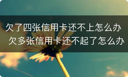 欠了四张信用卡还不上怎么办 欠多张信用卡还不起了怎么办