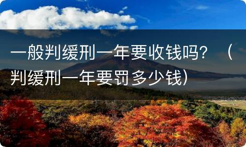 一般判缓刑一年要收钱吗？（判缓刑一年要罚多少钱）