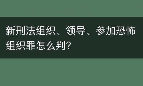 新刑法组织、领导、参加恐怖组织罪怎么判?