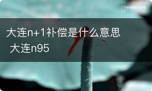 大连n+1补偿是什么意思 大连n95