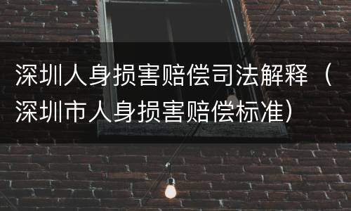 深圳人身损害赔偿司法解释（深圳市人身损害赔偿标准）