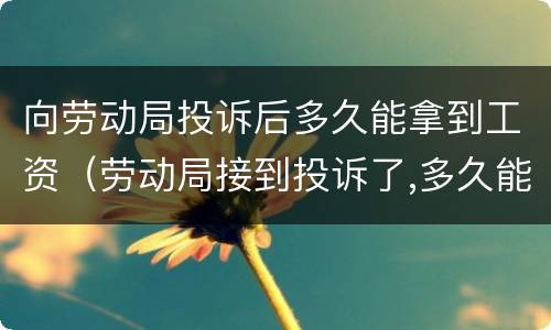 向劳动局投诉后多久能拿到工资（劳动局接到投诉了,多久能拿到工资）