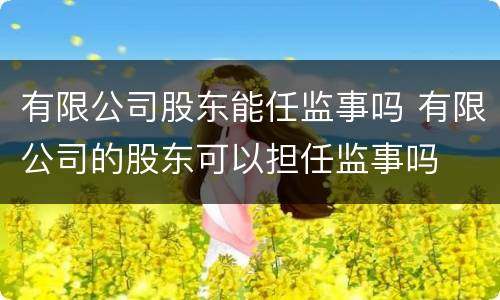 有限公司股东能任监事吗 有限公司的股东可以担任监事吗