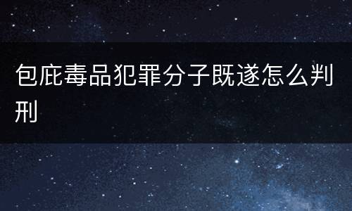 包庇毒品犯罪分子既遂怎么判刑