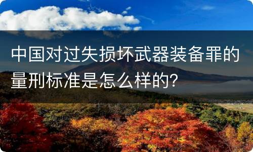 中国对过失损坏武器装备罪的量刑标准是怎么样的？