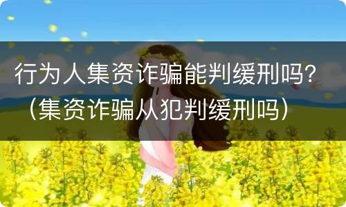 行为人集资诈骗能判缓刑吗？（集资诈骗从犯判缓刑吗）