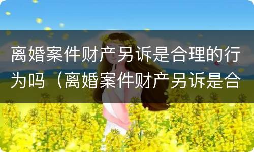 离婚案件财产另诉是合理的行为吗（离婚案件财产另诉是合理的行为吗为什么）