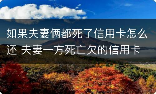 如果夫妻俩都死了信用卡怎么还 夫妻一方死亡欠的信用卡