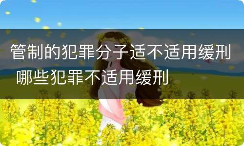 管制的犯罪分子适不适用缓刑 哪些犯罪不适用缓刑