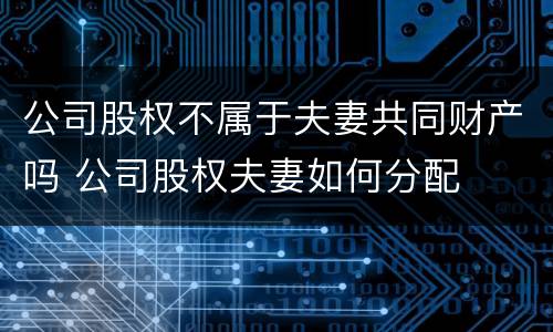 公司股权不属于夫妻共同财产吗 公司股权夫妻如何分配