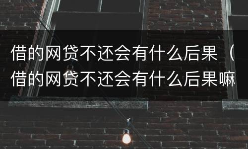 借的网贷不还会有什么后果（借的网贷不还会有什么后果嘛）