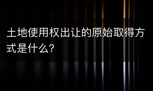土地使用权出让的原始取得方式是什么？