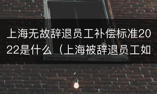 上海无故辞退员工补偿标准2022是什么（上海被辞退员工如何要求赔偿）