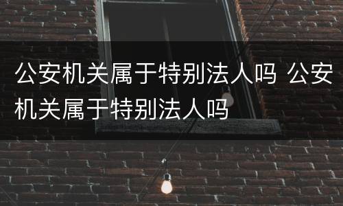 公安机关属于特别法人吗 公安机关属于特别法人吗