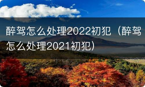 醉驾怎么处理2022初犯（醉驾怎么处理2021初犯）