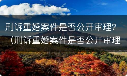 刑诉重婚案件是否公开审理？（刑诉重婚案件是否公开审理呢）