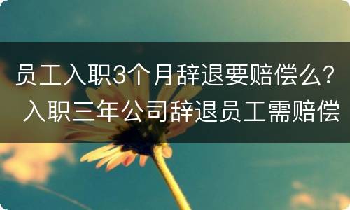 员工入职3个月辞退要赔偿么？ 入职三年公司辞退员工需赔偿多少