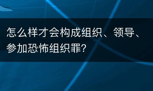 怎么样才会构成组织、领导、参加恐怖组织罪？