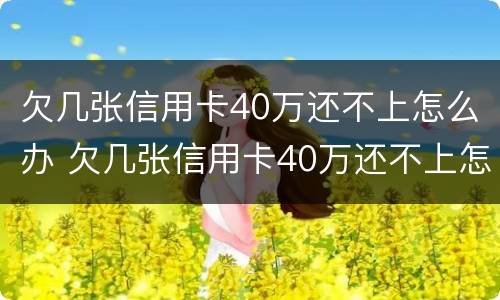 欠几张信用卡40万还不上怎么办 欠几张信用卡40万还不上怎么办呀