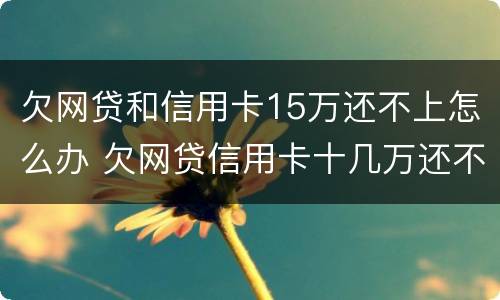 欠网贷和信用卡15万还不上怎么办 欠网贷信用卡十几万还不上怎么办