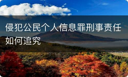 侵犯公民个人信息罪刑事责任如何追究