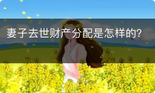 妻子去世财产分配是怎样的？