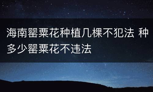 海南罂粟花种植几棵不犯法 种多少罂粟花不违法